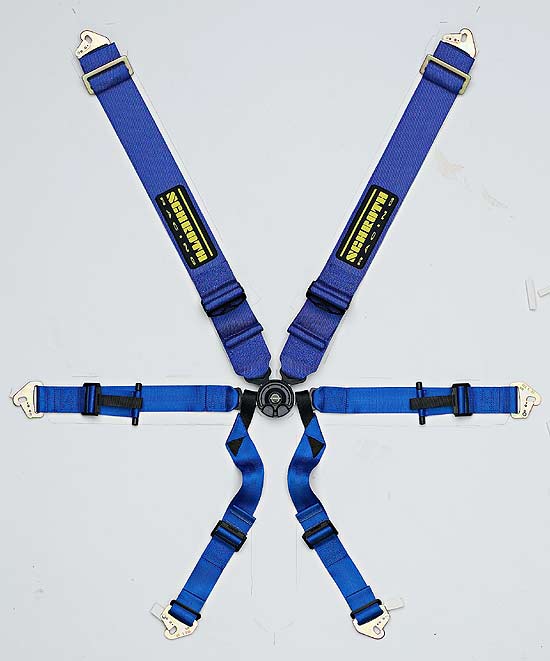 Hybrid 6 point harnessbelt